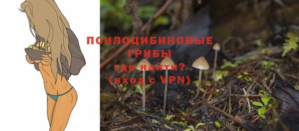 амф Абинск