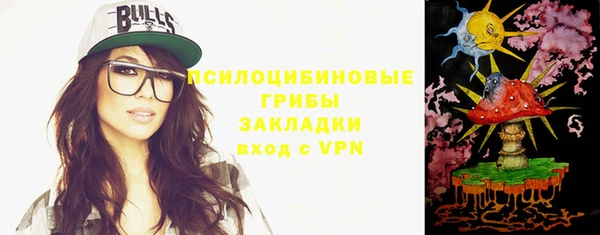 Альфа ПВП Абаза