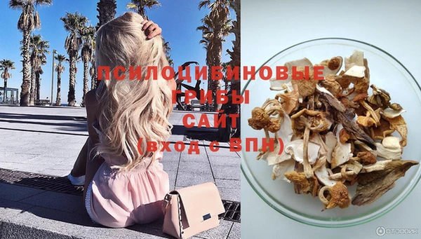 Альфа ПВП Абаза